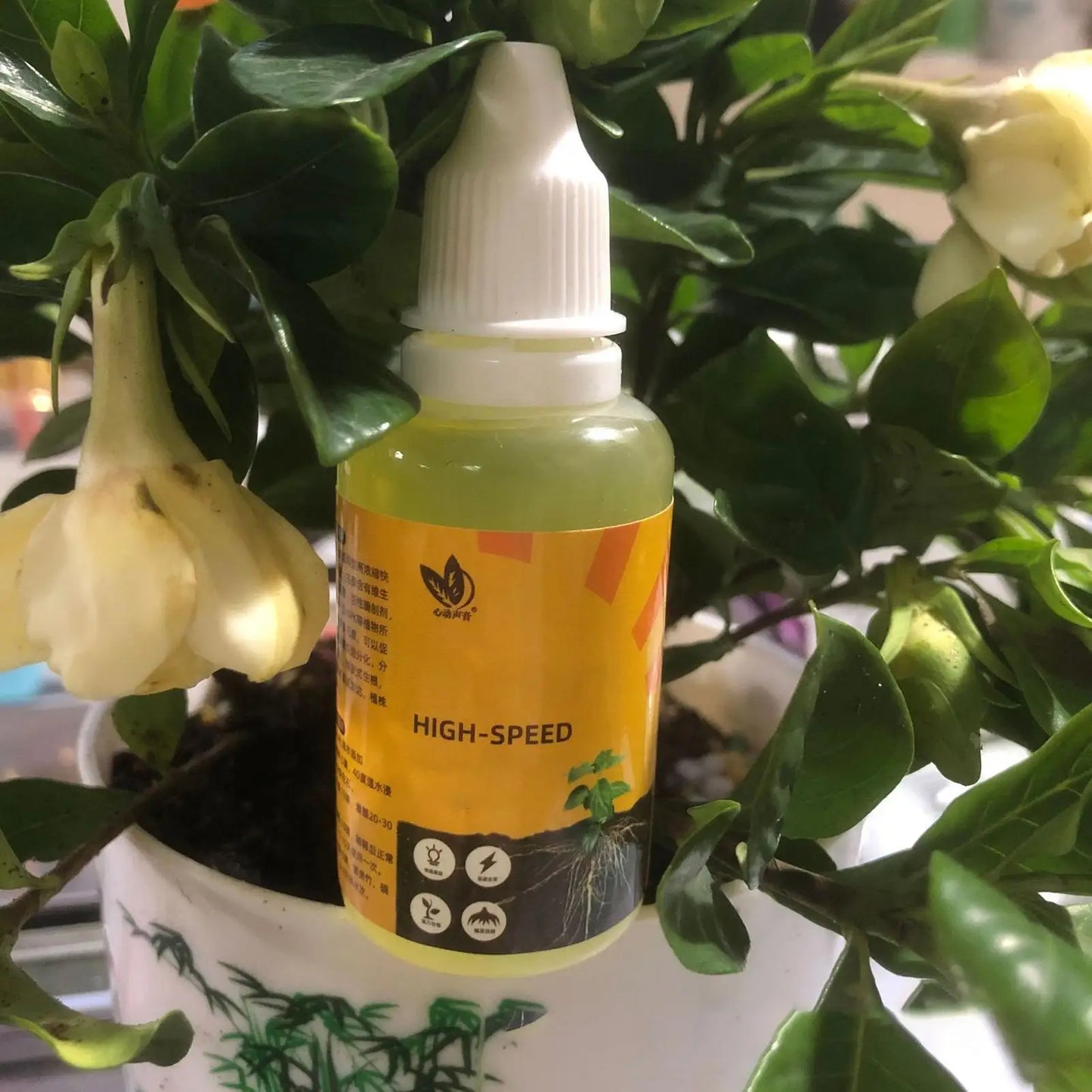 PRapid Rooting Agent Liquid Fertilizer Strong Rooting Stimulator